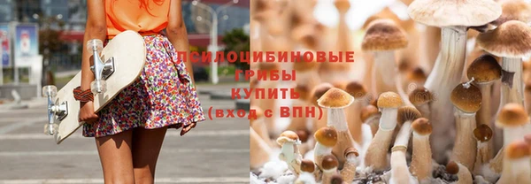 ГАЛЛЮЦИНОГЕННЫЕ ГРИБЫ Каменск-Шахтинский