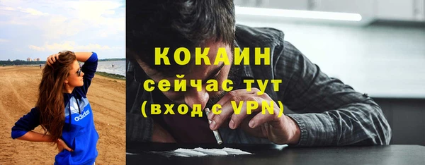 кокс Касимов