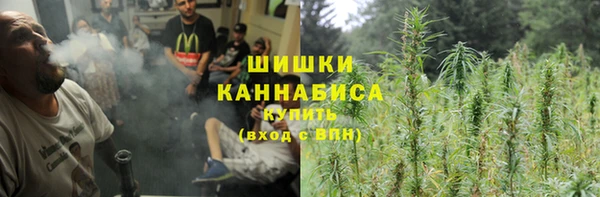 кокс Касимов