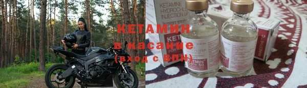 кокс Касимов