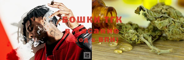 кокс Касимов