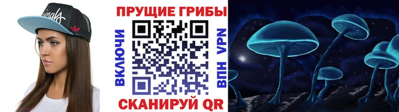 Псилоцибиновые грибы Psilocybe  Купить  Спасск 
